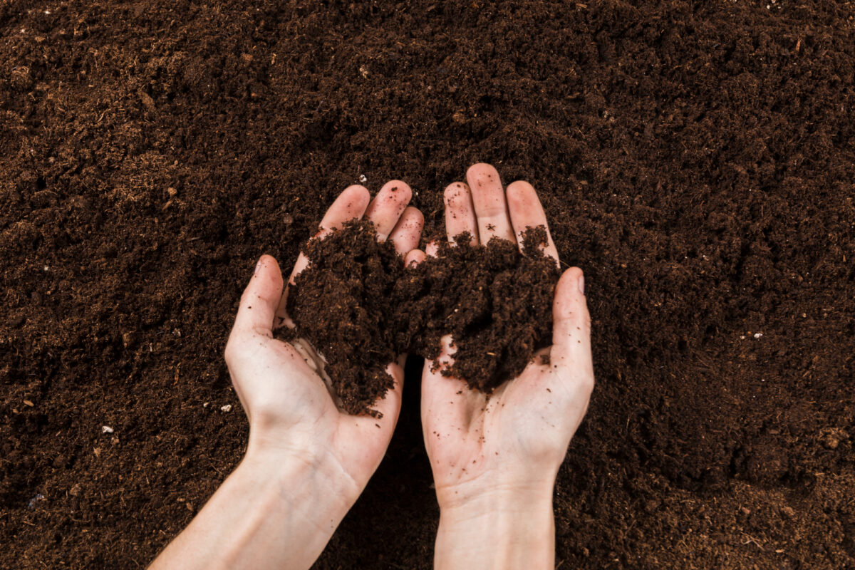 Close-up photo of hands holding nutrient-rich soil, illustrating gardening and environmental stewardship.