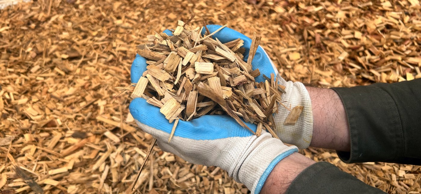 Close-up photo of hands holding garden mulch, illustrating gardening and landscaping activities.